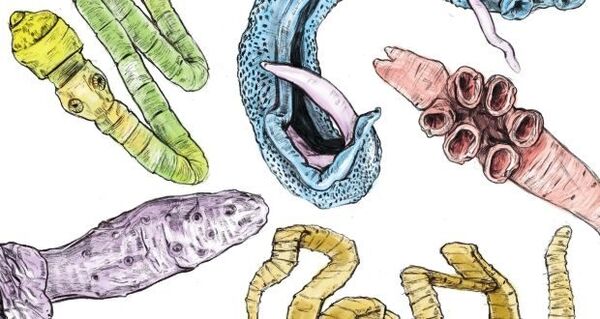 Parasites dans le corps humain