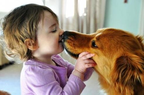 Infection par un ver d'un chien